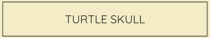 NEW: Turtle Skull – Monoliths